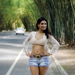 gata 3