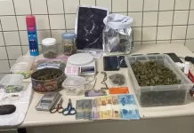 Operação em Abrantes termina com prisões e apreensão de drogas, veículo e dinheiro