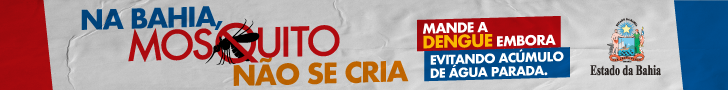 Campanha da Dengue  - governo do estado